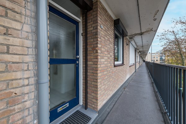 OBJ 2025 ODGH 1128 013.jpeg